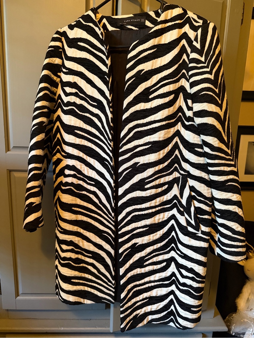 Zara Black & White Zebra-Stripe Trench Coat
